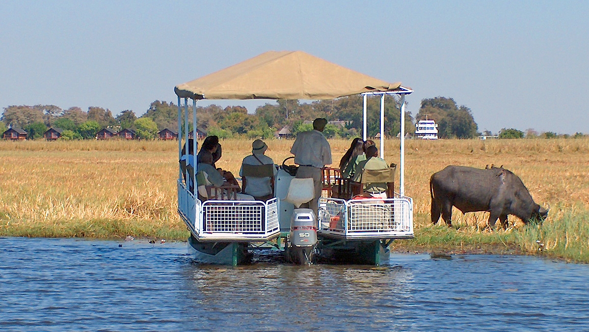 Chobe River game viewing