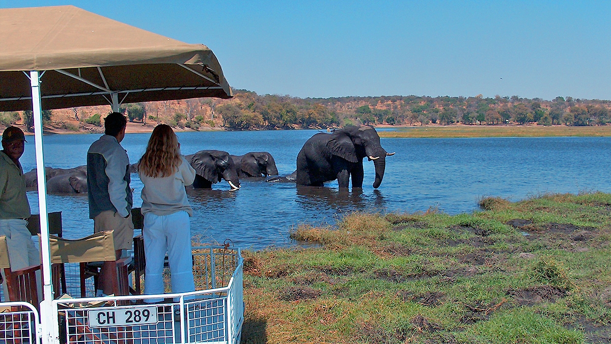 Chobe River game viewing