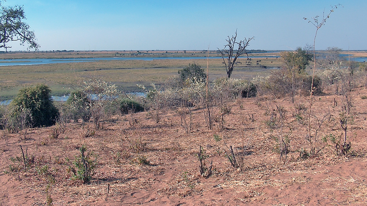 Chobe River from Chobe National Park