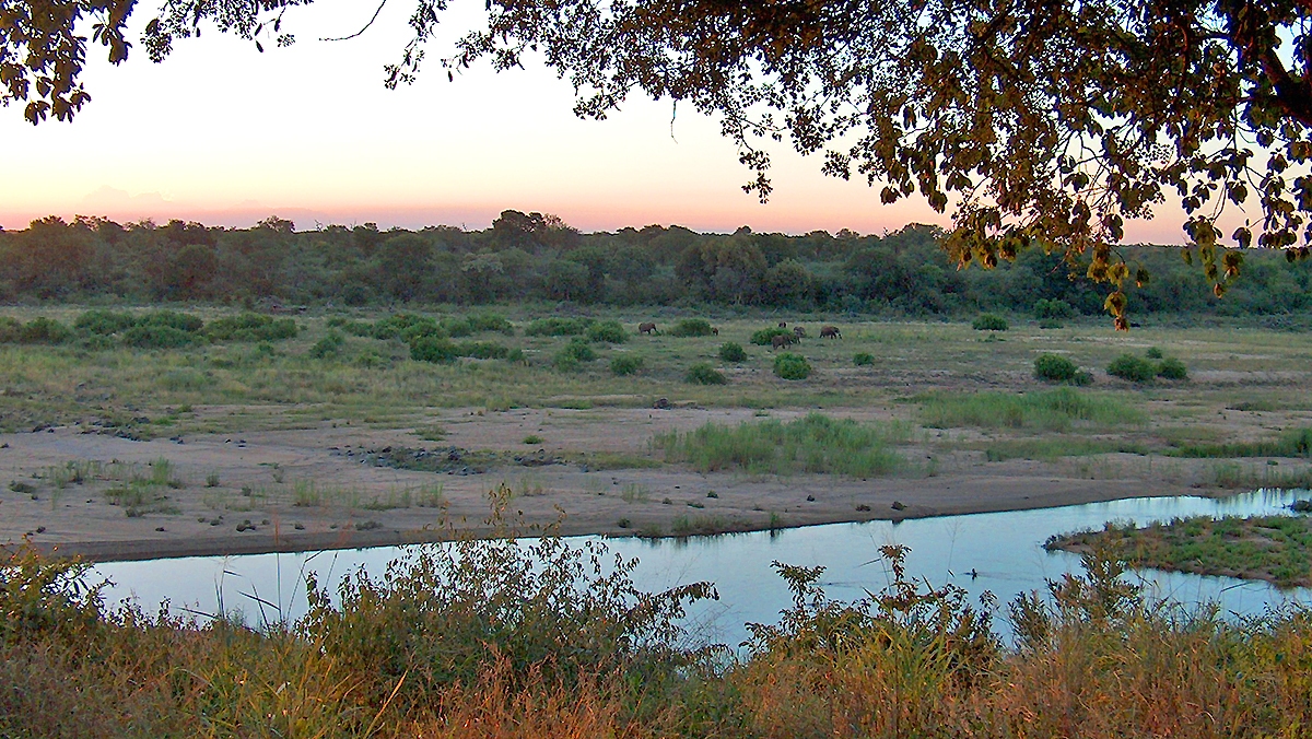 Crocodile River at Ngwenya Lodge, South Africa