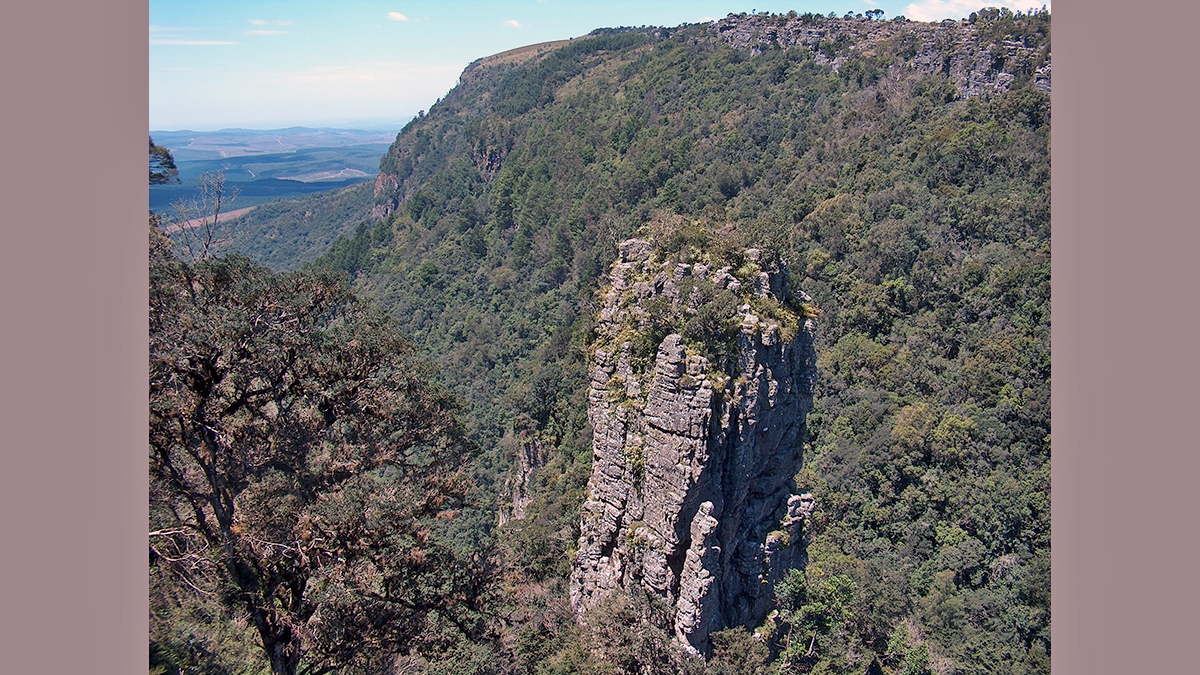 The Pinnacle