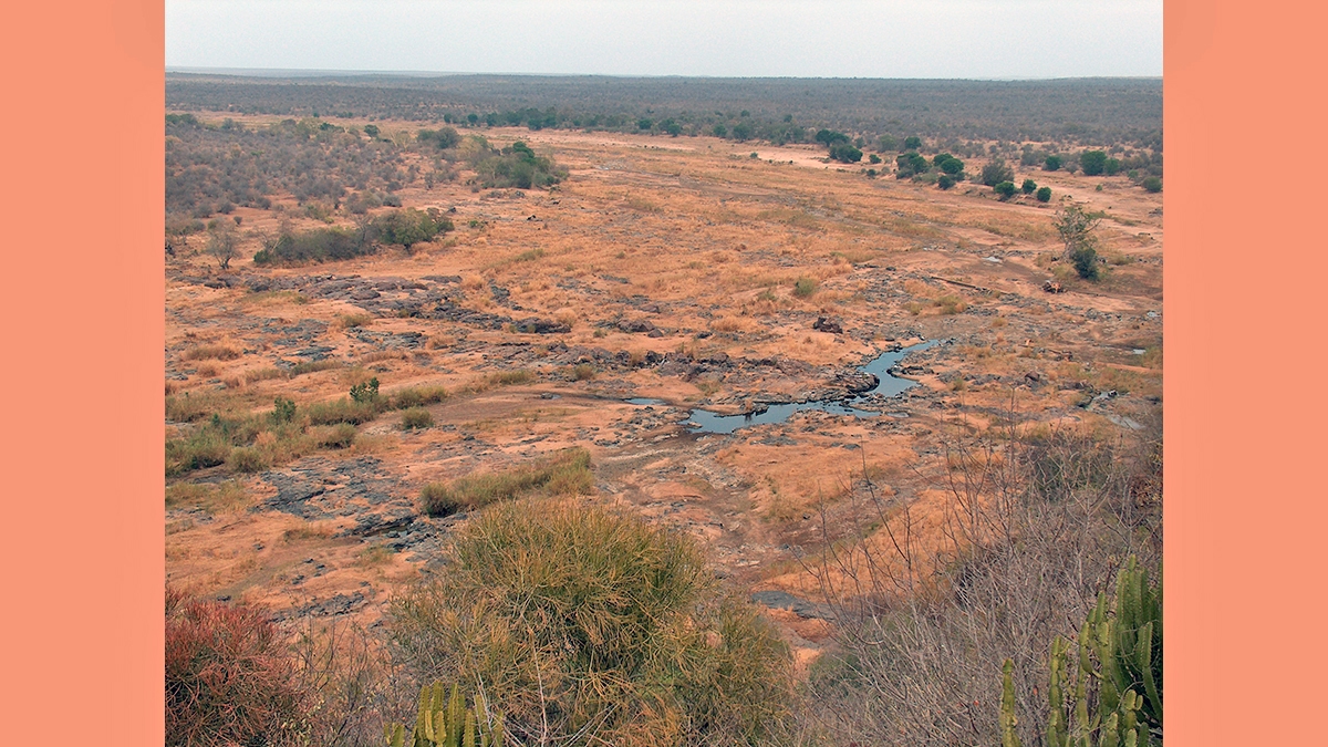 Olifants River, Kruger Park