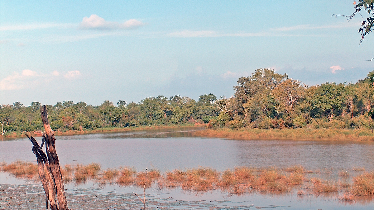 View downriver in Sirheni Camp, Kruger National Park