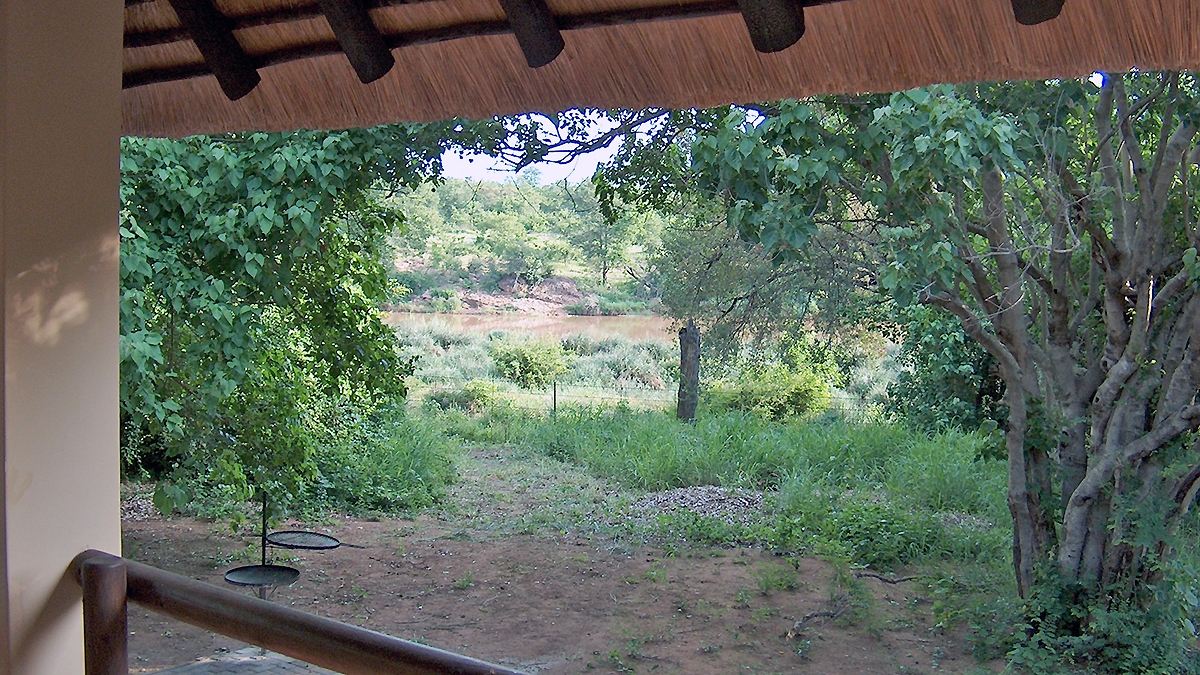 View from Bungalow in Sirheni Camp, Kruger National Park