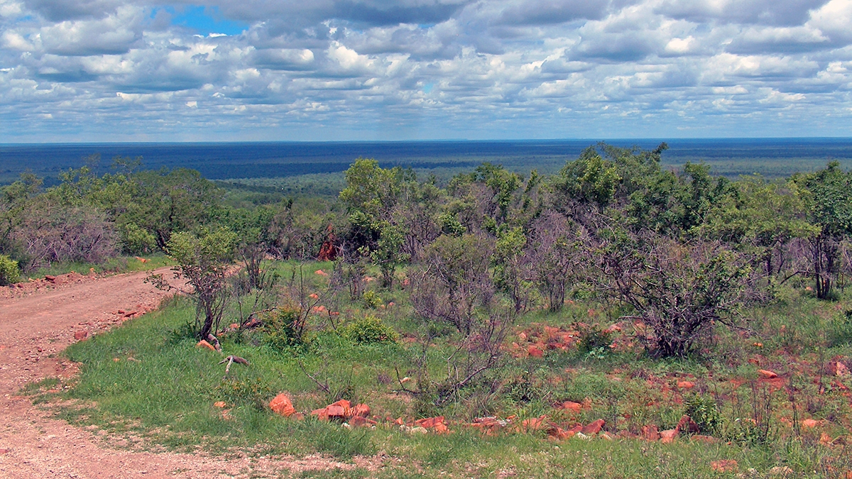 View from Dzundzwini Hill, Kruger National Park