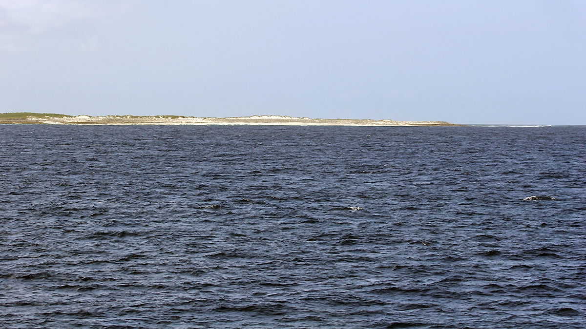 Europa Island