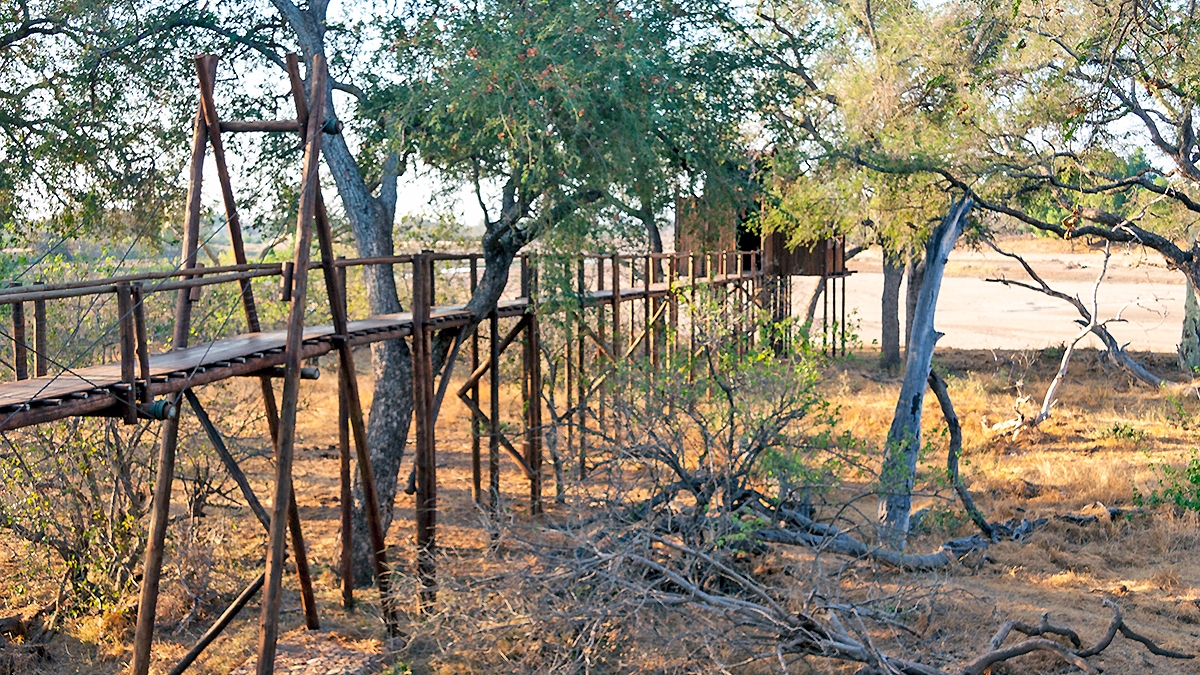 Viewing hide on Limpopo River in Mapungubwe National Park
