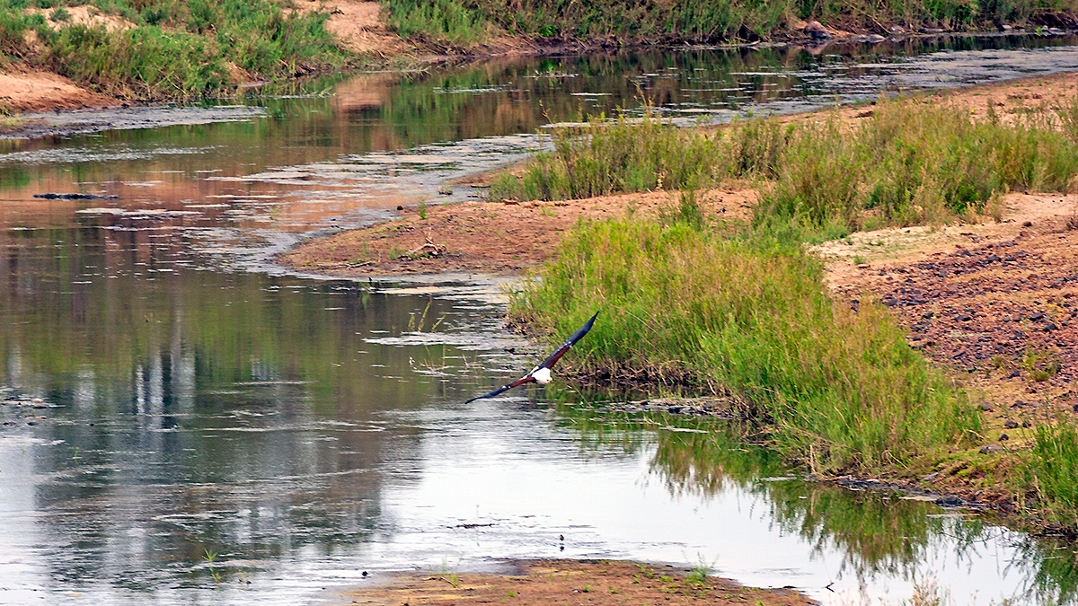Letaba River, Kruger National Park