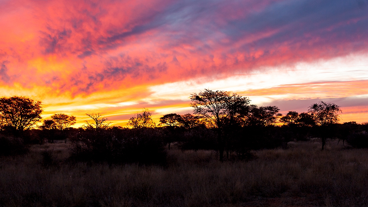 Sunset from my trailer near Hotazel