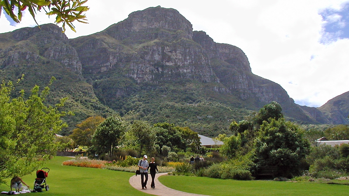 Kirstenbosch Botanical Gardens, Cape Town