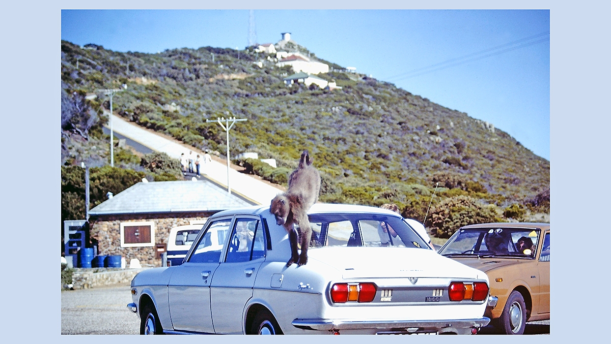 Cape Point, South Africa