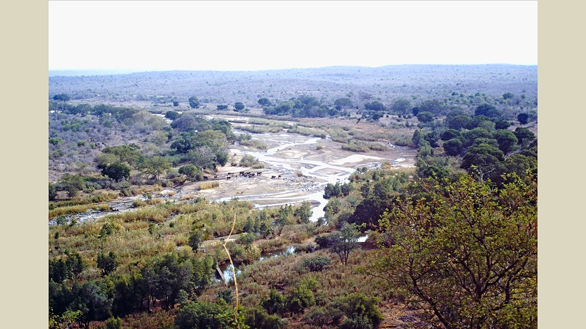 Olifants River, Kruger Park
