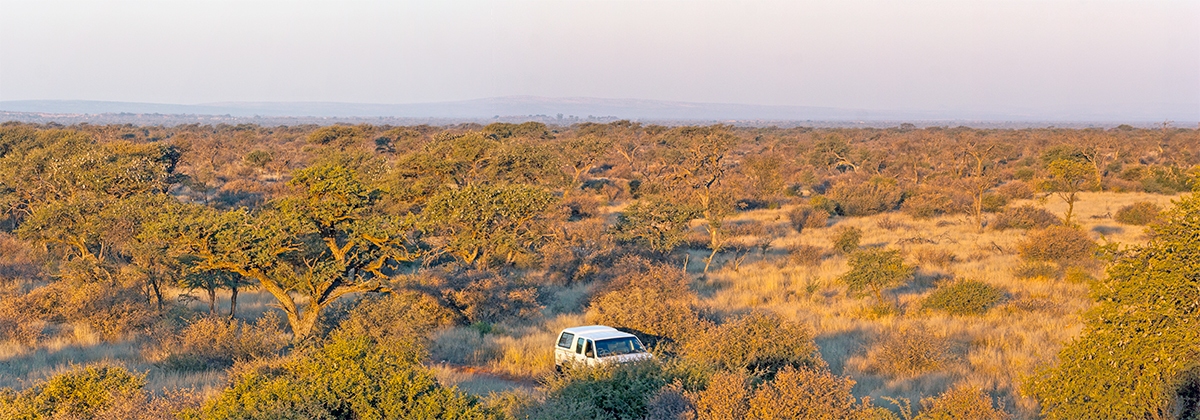 Panoramic view of the farm Umtu