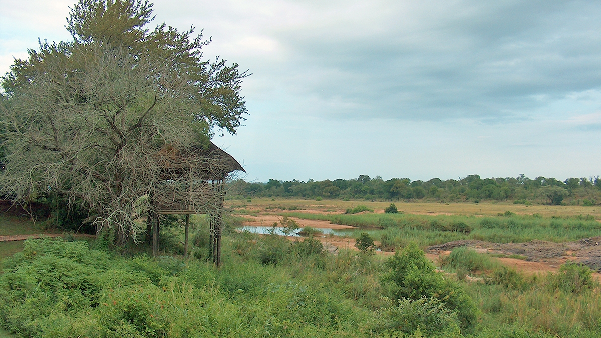 Main Game Viewing Hide, Ngwenya Lodge