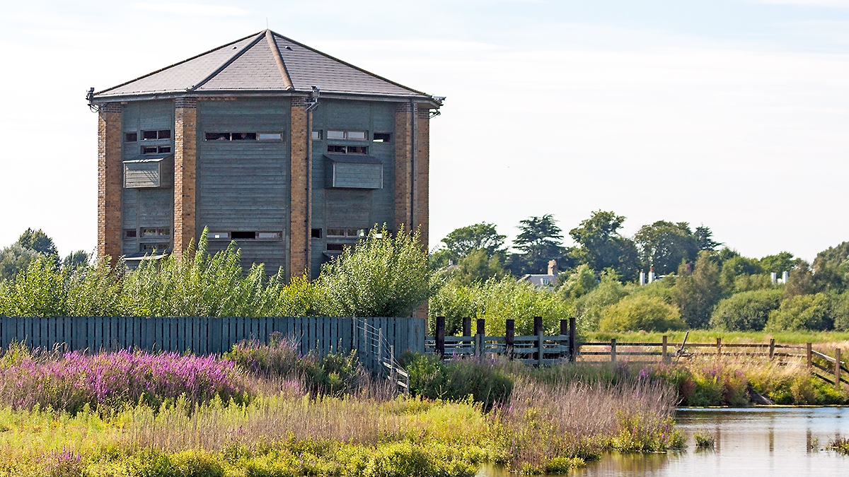 Peacock Tower, London Wetland Centre