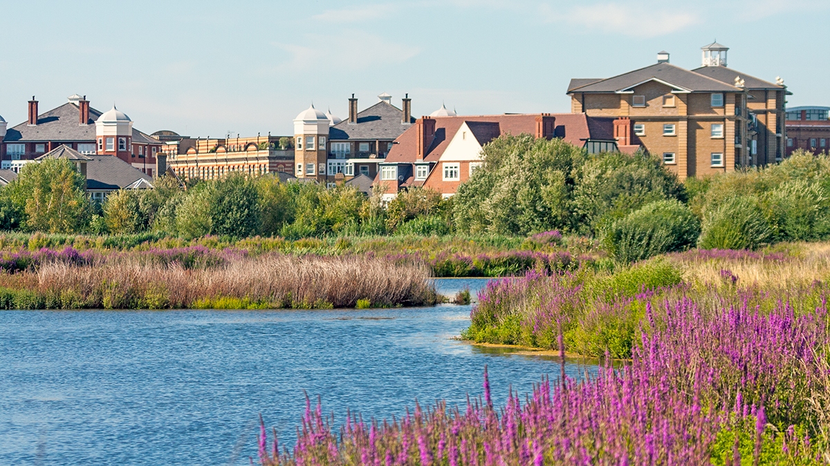 London Wetland Centre