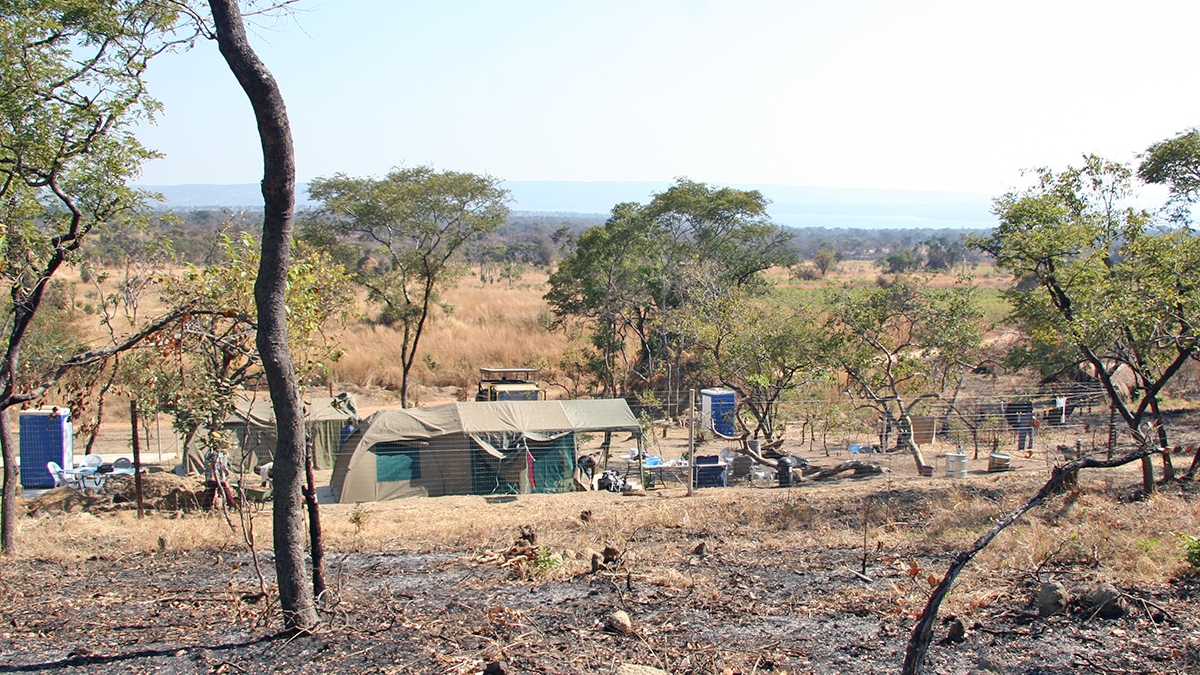 DRC field camp