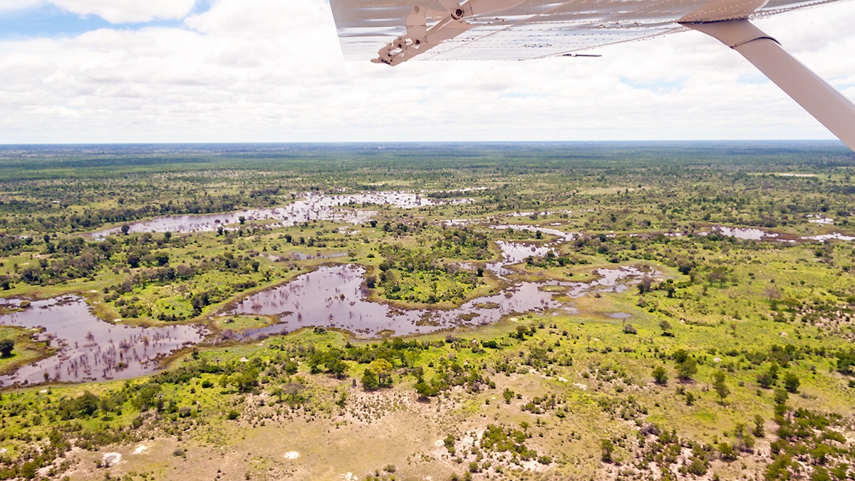 Okavango Delta from the air