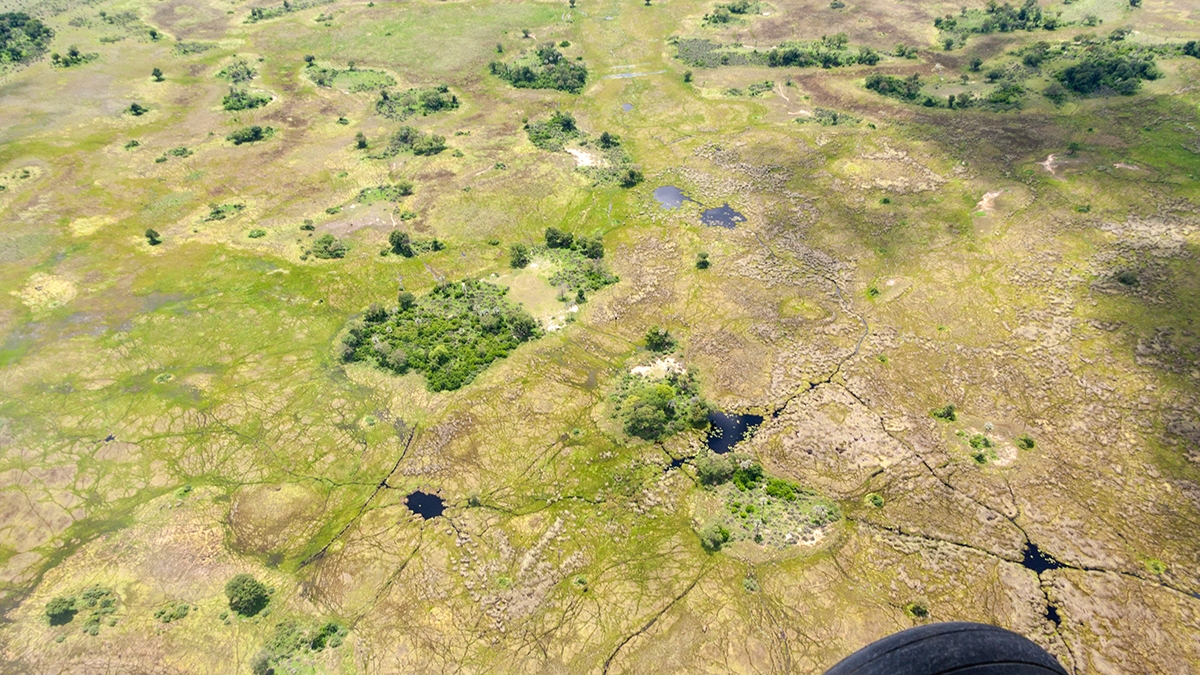 Okavango Delta from the air (IMG_4913)