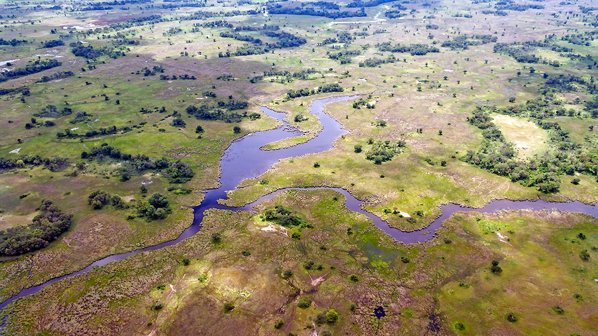 Okavango Delta from the air (IMG_4915)