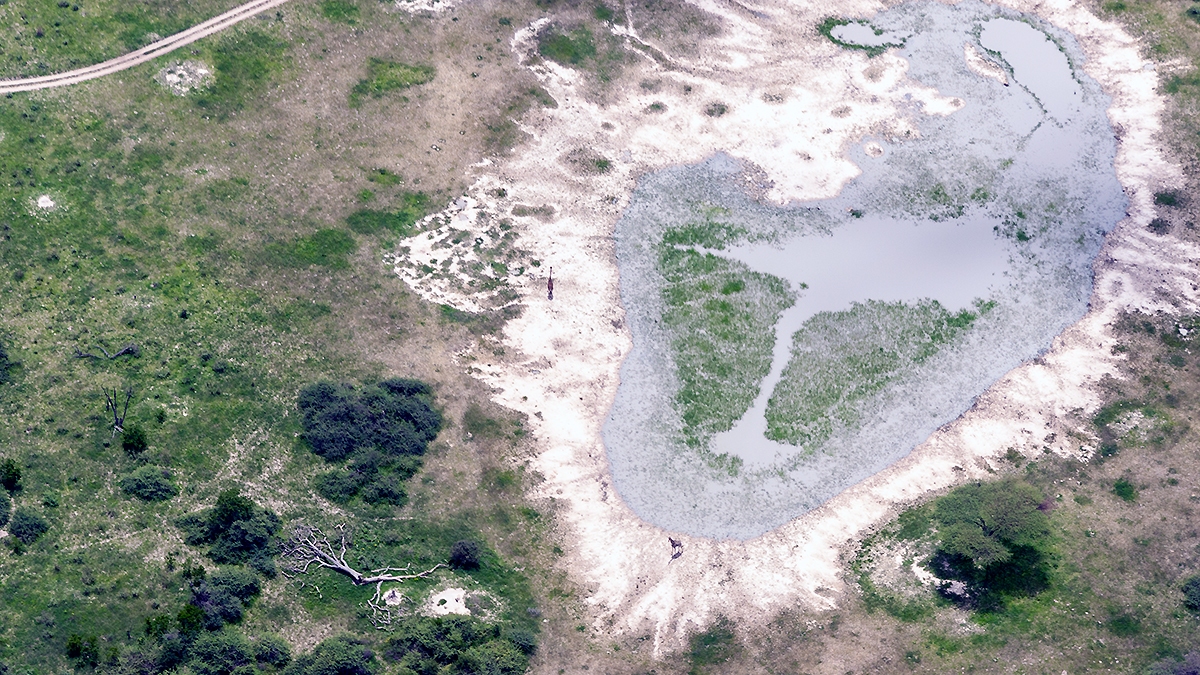 Okavango Delta from the air (IMG_4918)