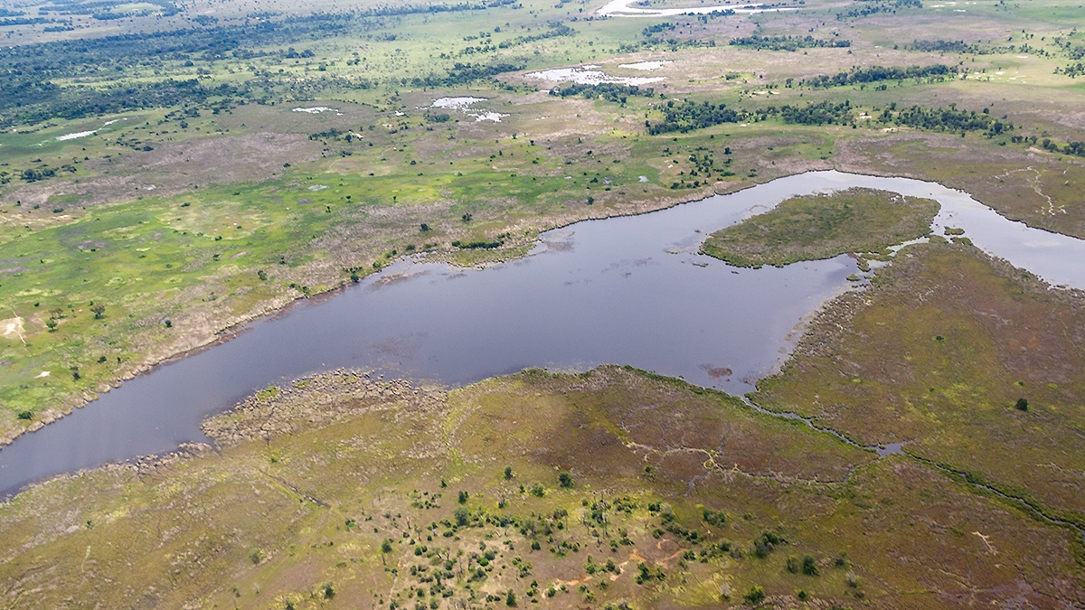 Okavango Delta from the air (IMG_4919)