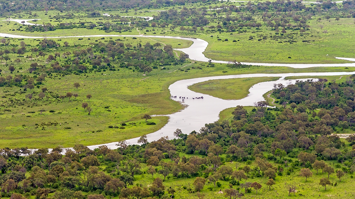Approaching Lebala landing strip, northern Botswana (IMG_4935)