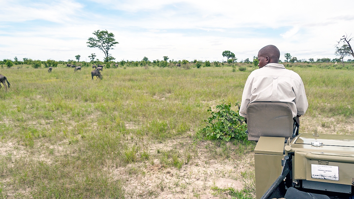 Near Lebala Camp, northern Botswana