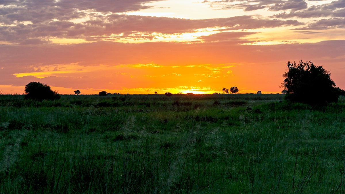 Sunset at Lebala Camp