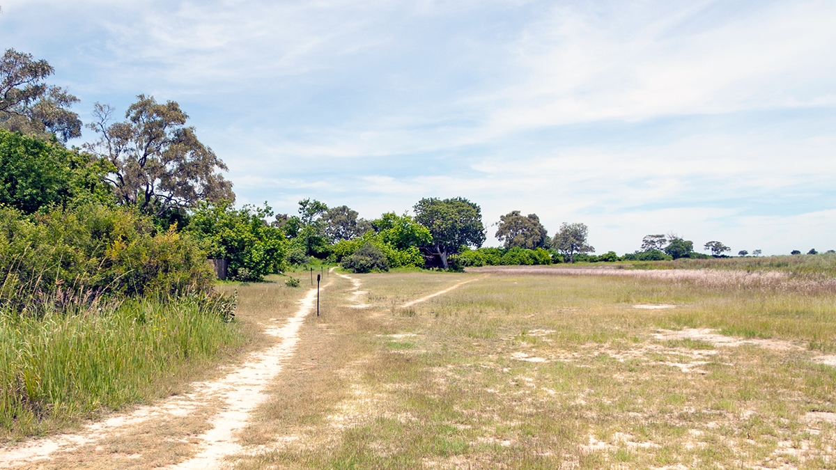 Game-viewing hide at Lebala