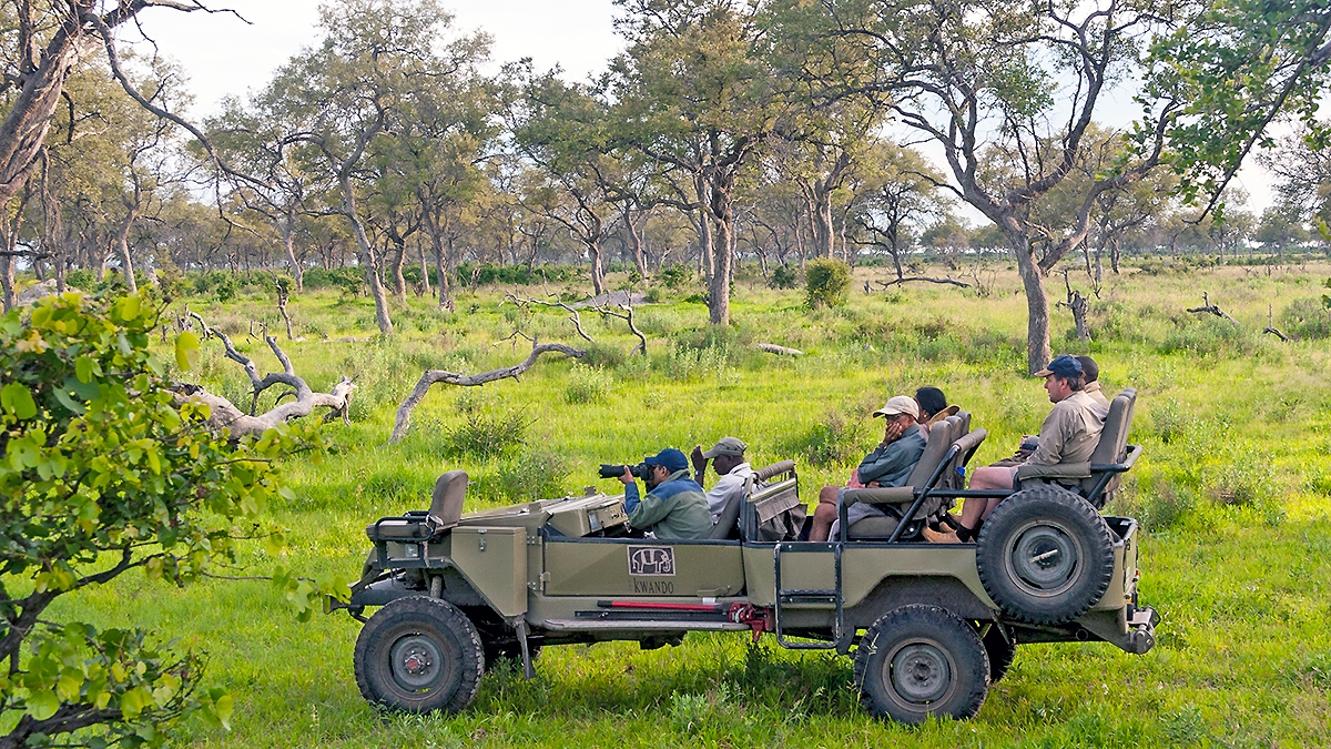 Off-road game-viewing at Lebala