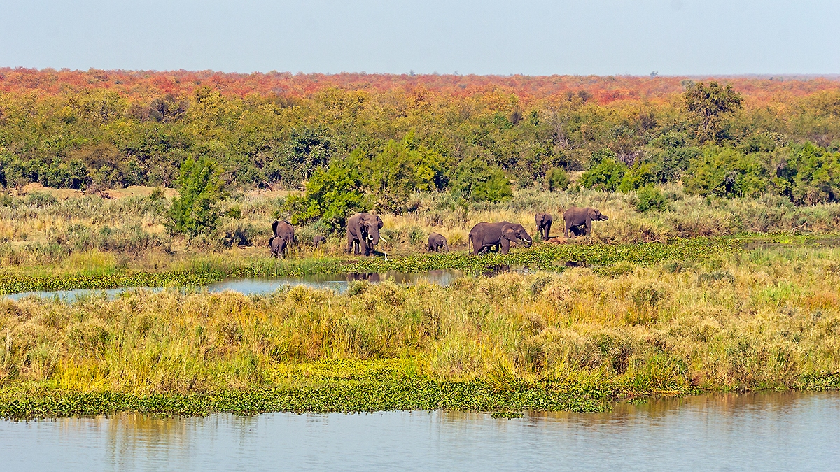 View from Matambeni Hide, Kruger Park
