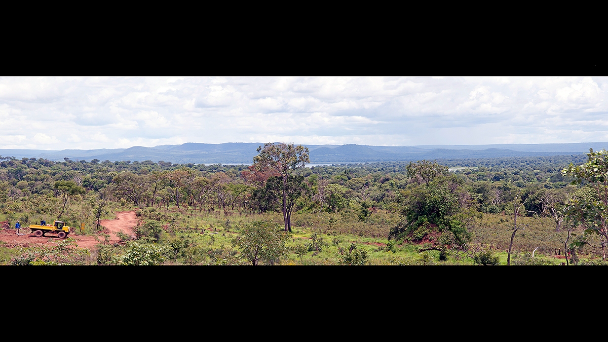Secondary miombo woodland