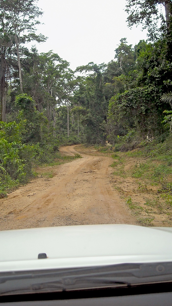 The last few miles to the project area