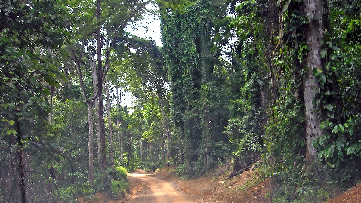 The last few miles to the project area