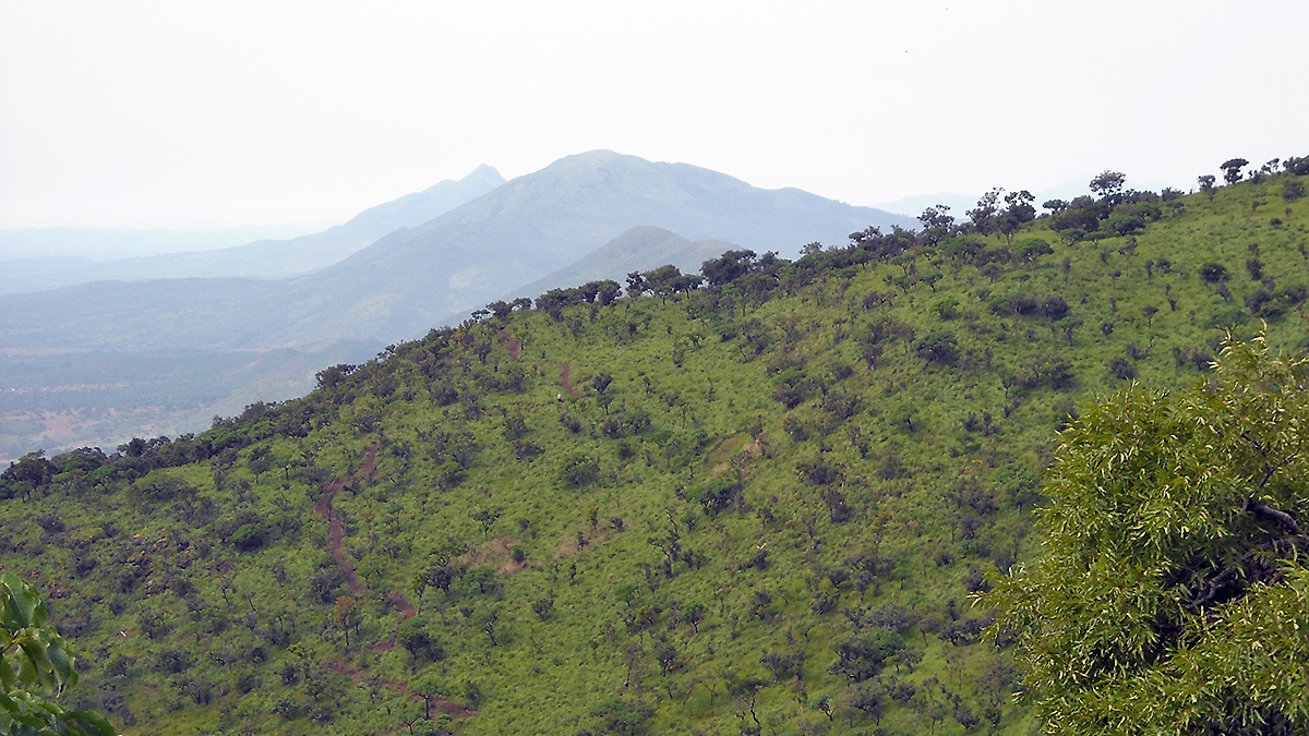Project area near Kérouané
