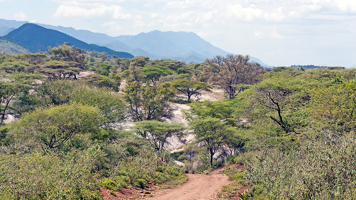 Road near Sabor, Kenya