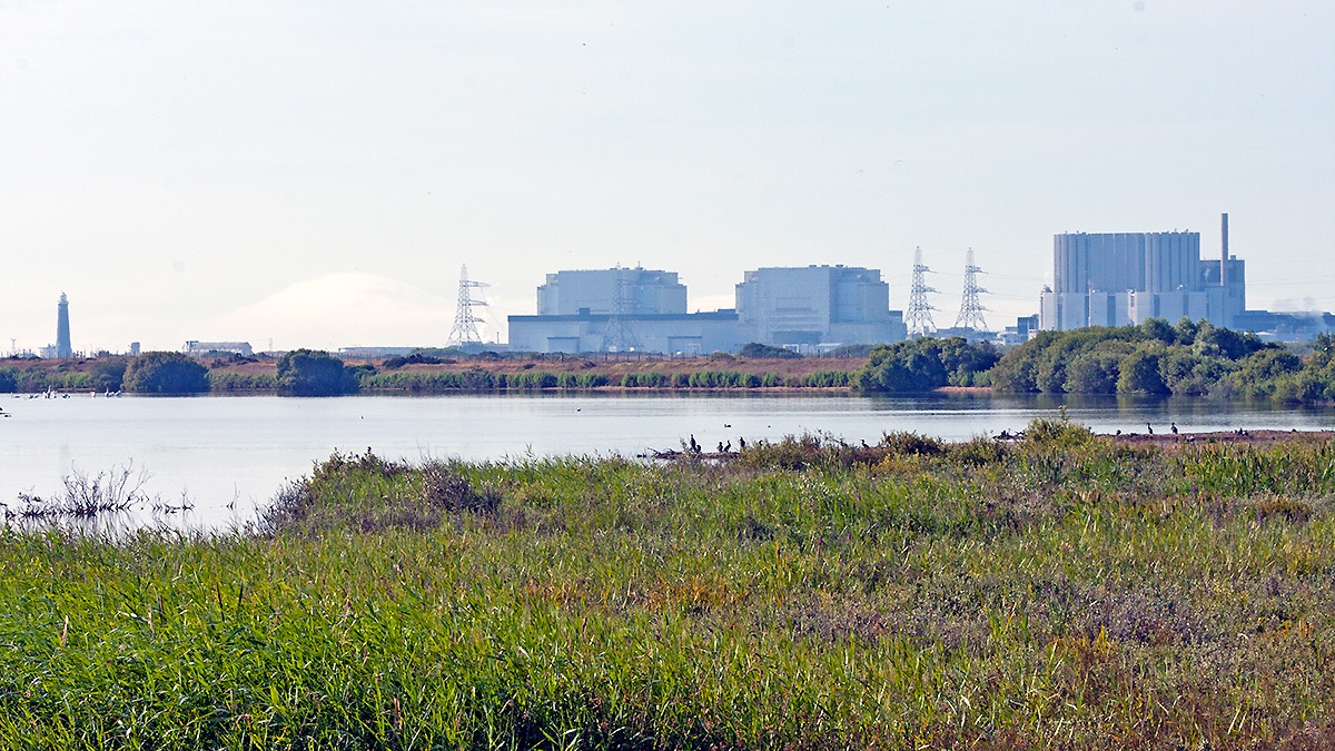RSPB Dungeness, England