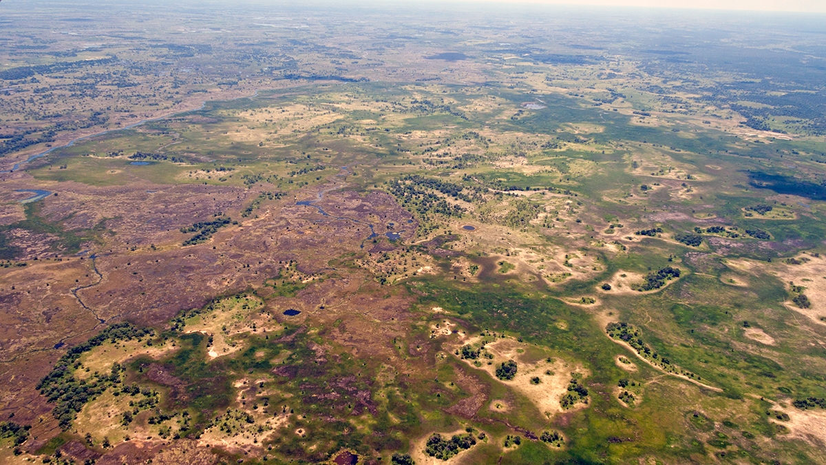 Okavango Delta from the air (IMG_5140)