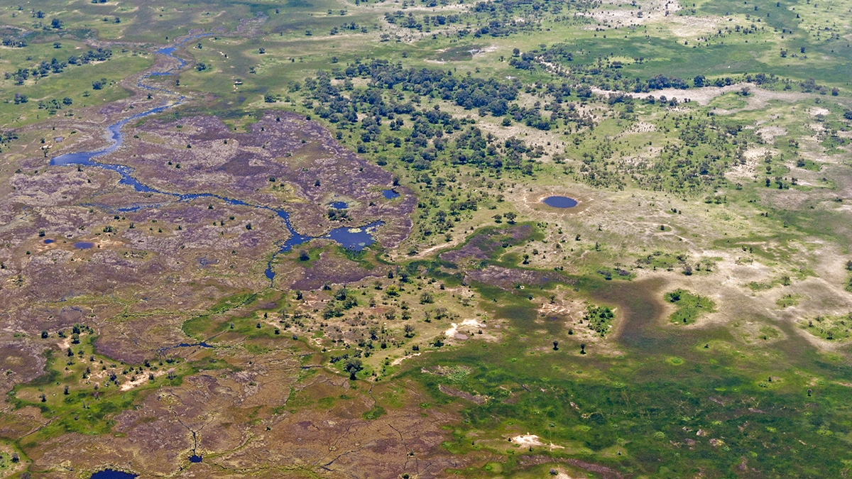 Okavango Delta from the air (IMG_5141)