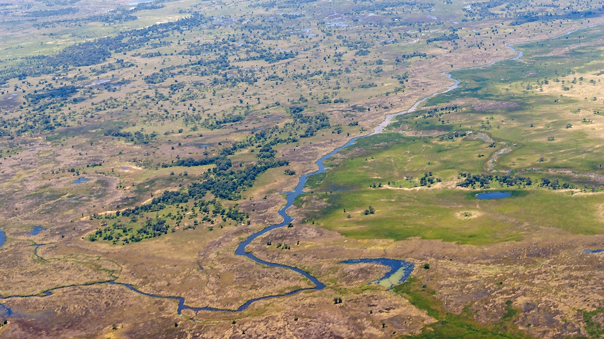 Okavango Delta from the air (IMG_5142)