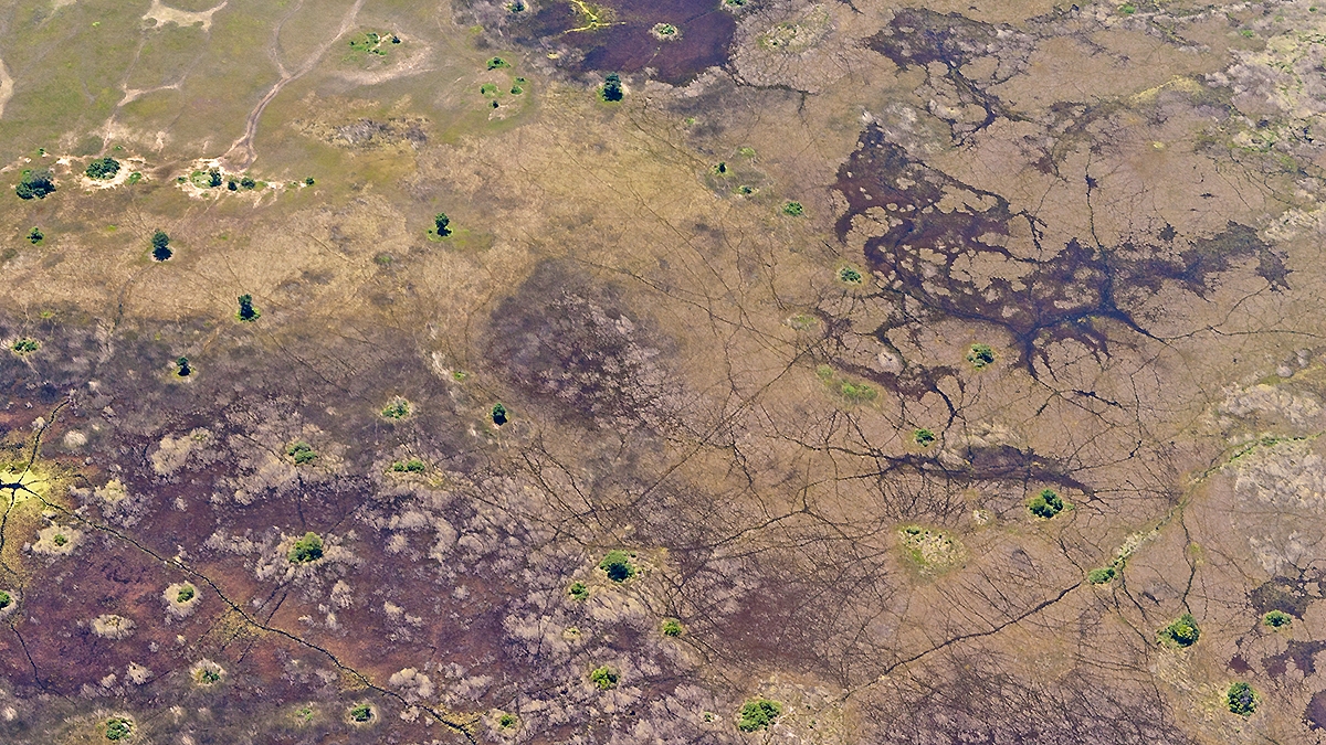 Okavango Delta from the air (IMG_5143)