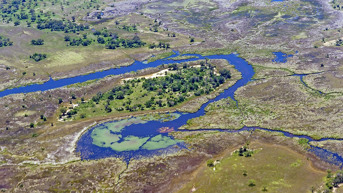 Okavango Delta from the air (IMG_5144)