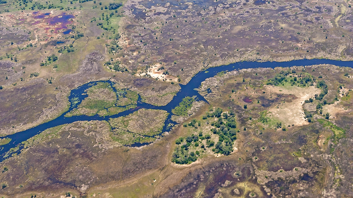 Okavango Delta from the air (IMG_5145)
