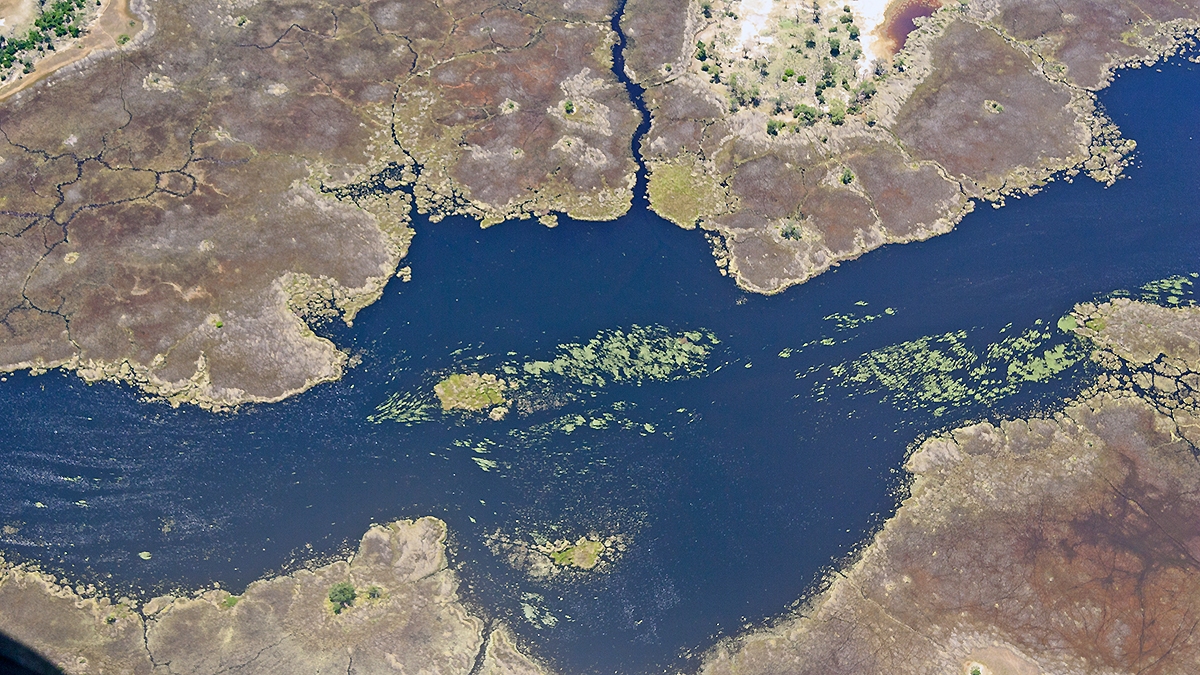 Okavango Delta from the air (IMG_5146)