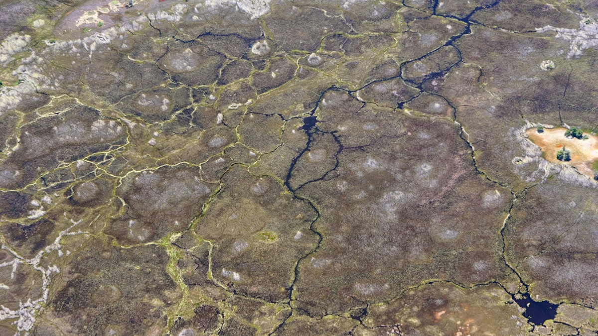 Okavango Delta from the air (IMG_5147)