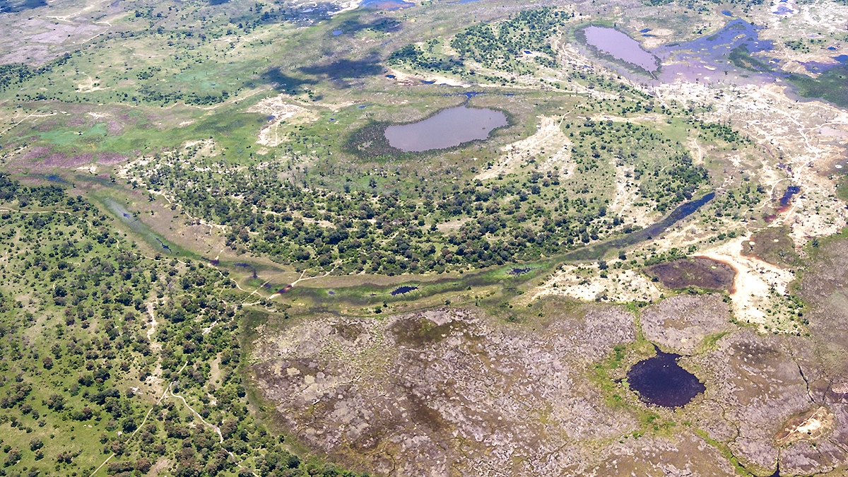 Okavango Delta from the air (IMG_5148)