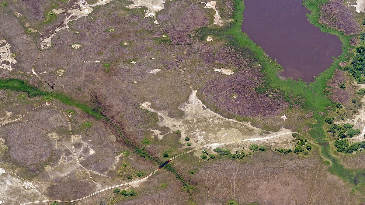 Okavango Delta from the air (IMG_5149)