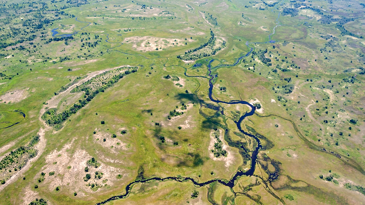 Okavango Delta from the air (IMG_5151)