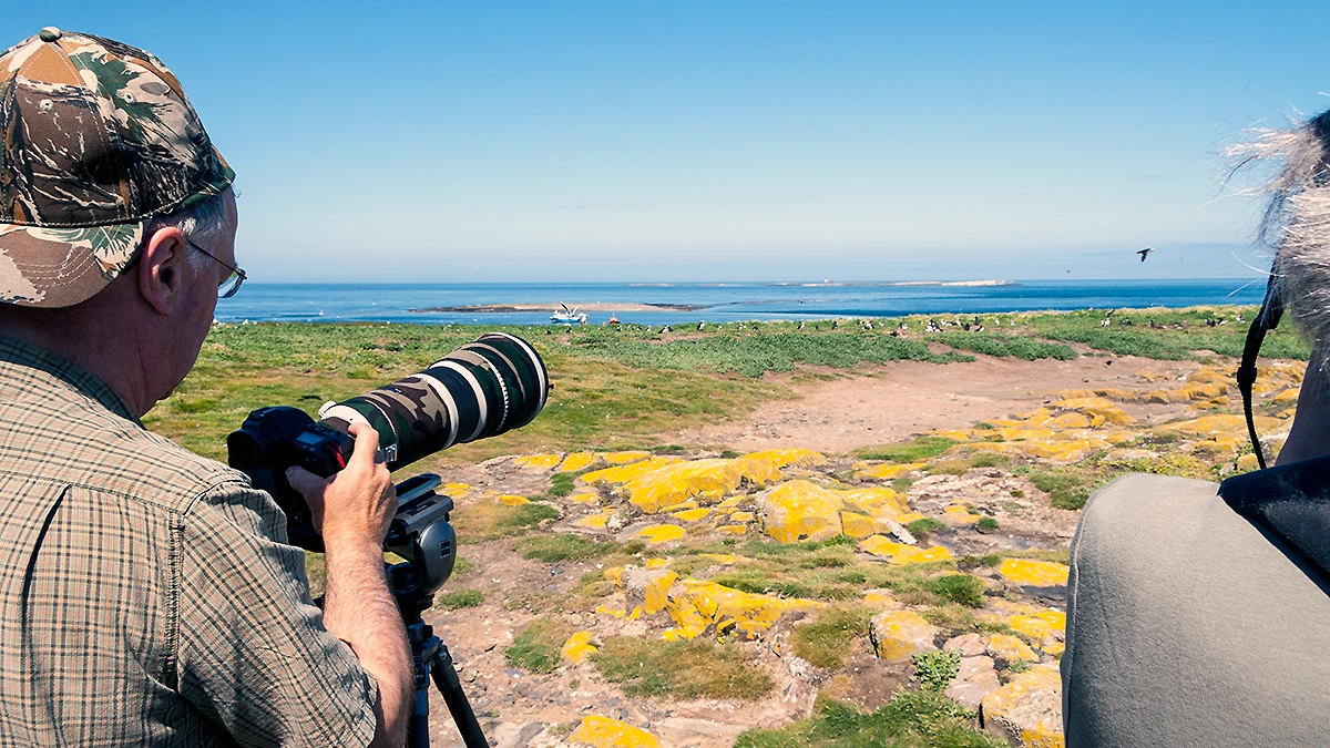 Staple Island and the Outer Farnes